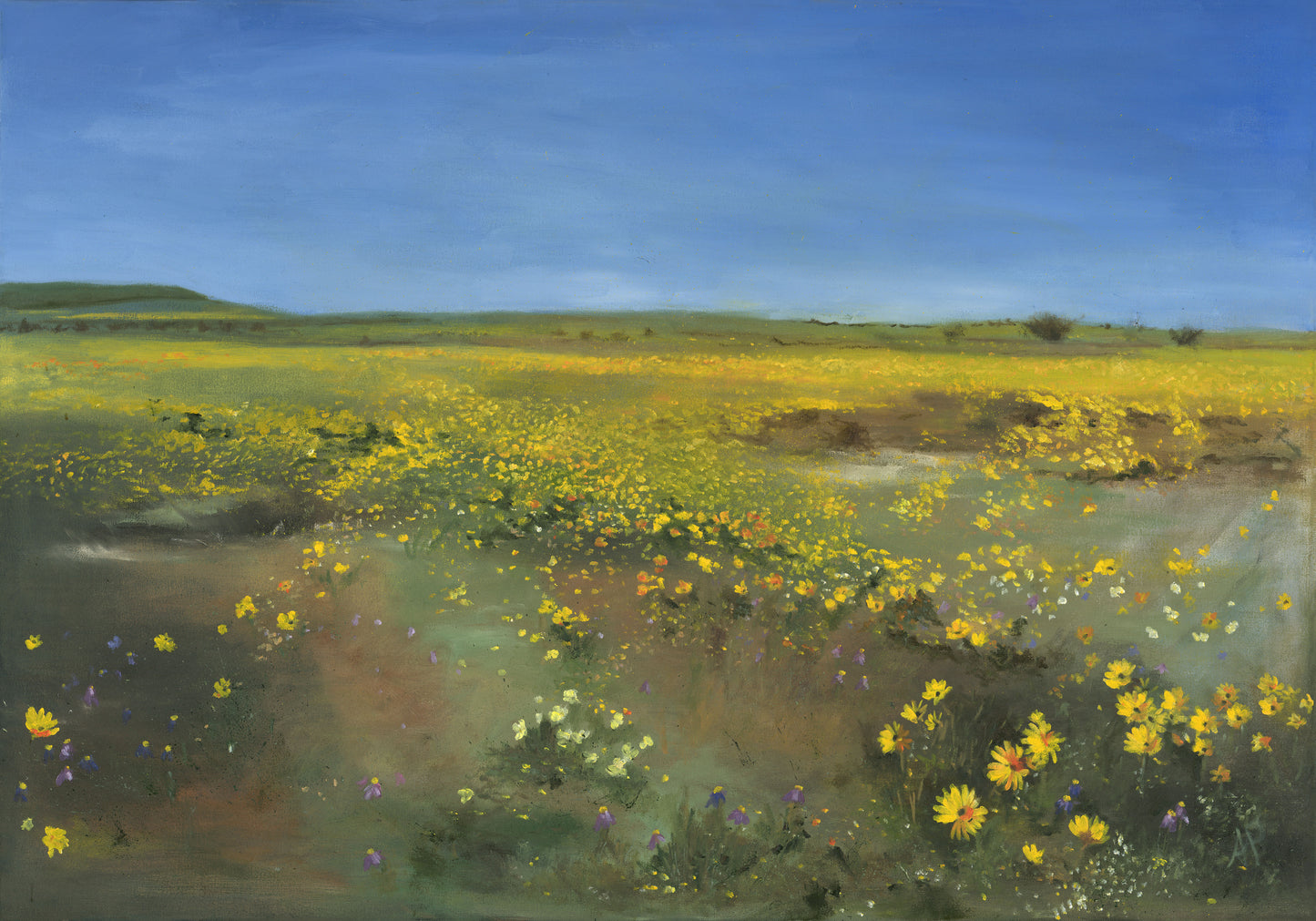 ‘Golden Fields’ original oil painting on stretched canvas by Allison Pilling. The golden tones and sweeping namaqualand landscape add warmth and colour to the space.