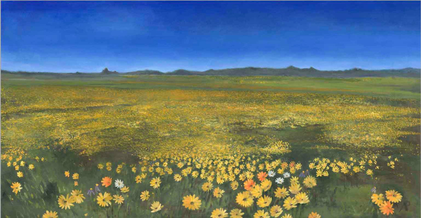 ‘Nature’s Tapestry’ Namaqualand Original Oil Painting by Allison Pilling. Its expansive golden fields and blue sky bring vibrant energy and depth to the space.