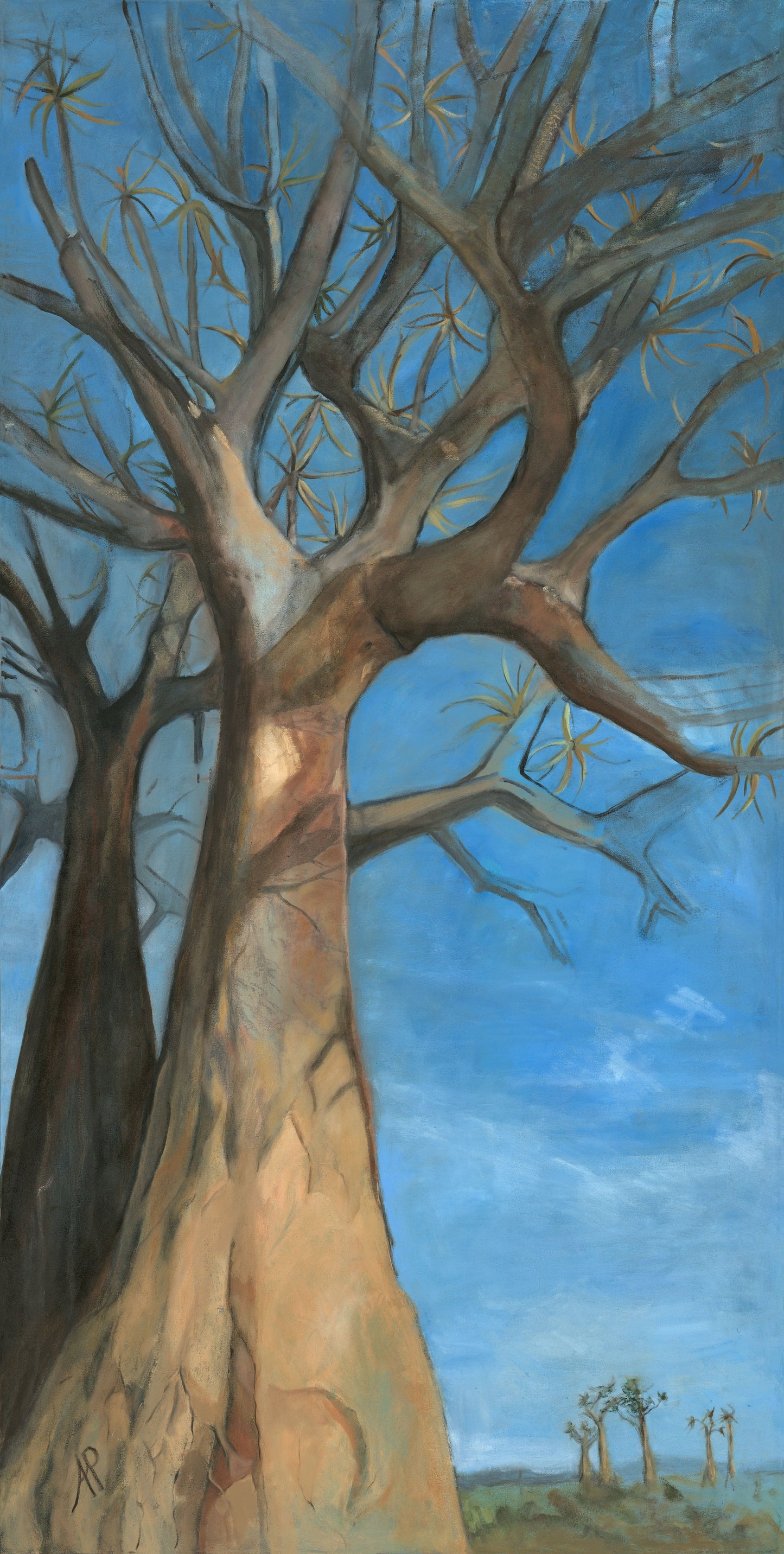 ‘Quiver in Blue’ is a landscape original oil painting by Allison Pilling. Set against a striking blue backdrop, this artwork captures the timeless presence of this iconic South African tree, a symbol of strength, endurance, and growth.