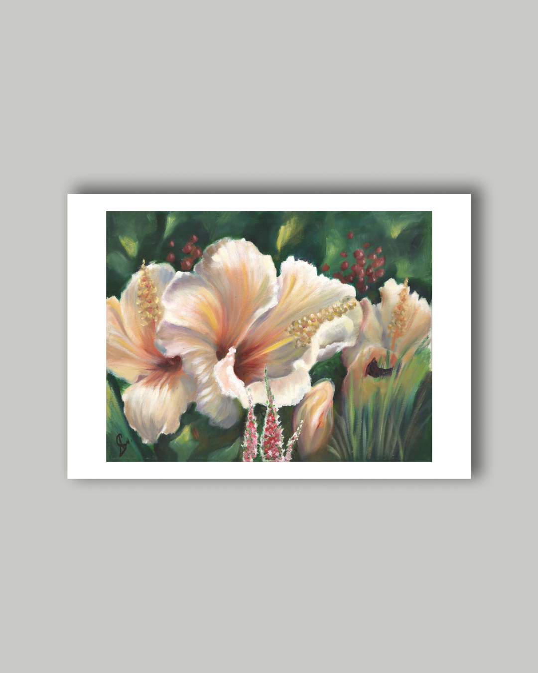 Limited edition floral print by Stephreen Mapstone of a vibrant South Coast hibiscus. This colourful botanical artwork brings a tropical feel and a touch of nature to any space.